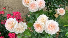 sejour06 185